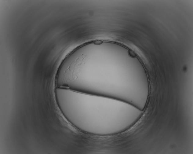 X0000094811240200711160956