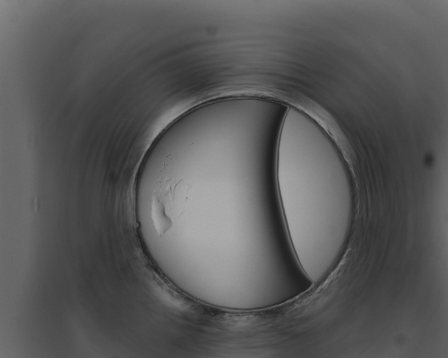 X0000094811242200711160956
