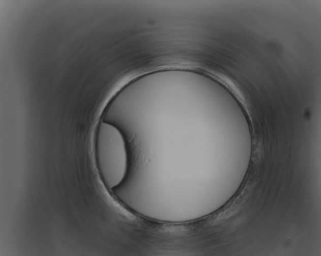 X0000094811243200711160956