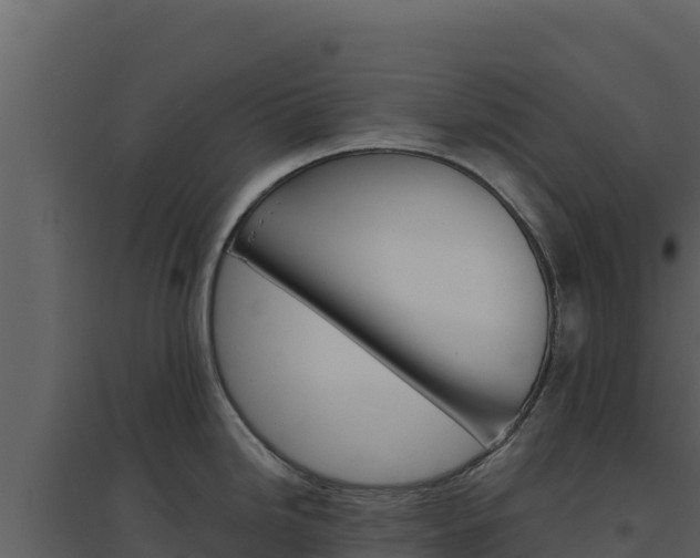 X0000094811246200711160956