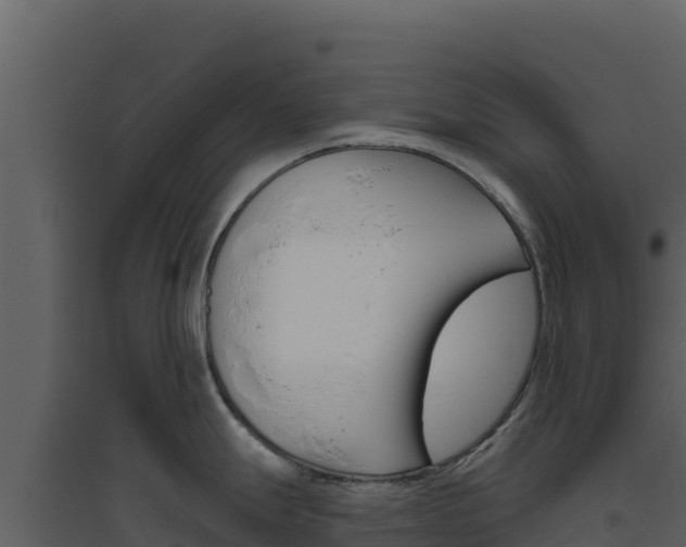 X0000094811247200711160956