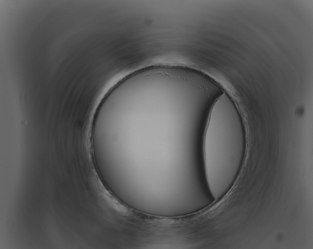 X0000094811248200711160956