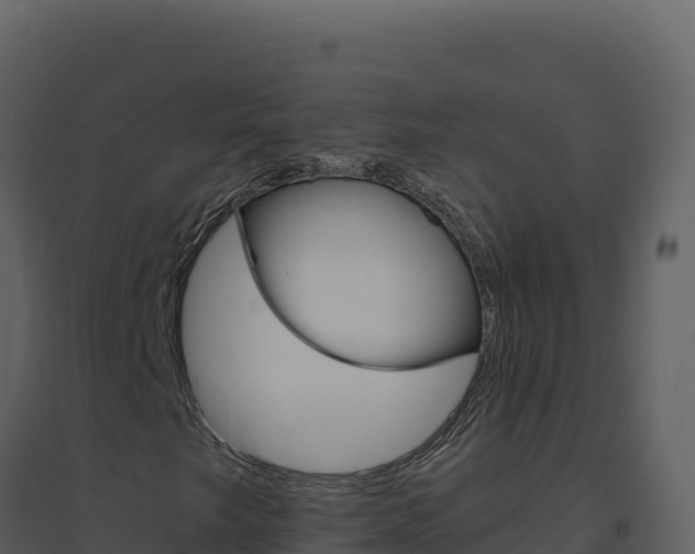 X0000094811249200711160955