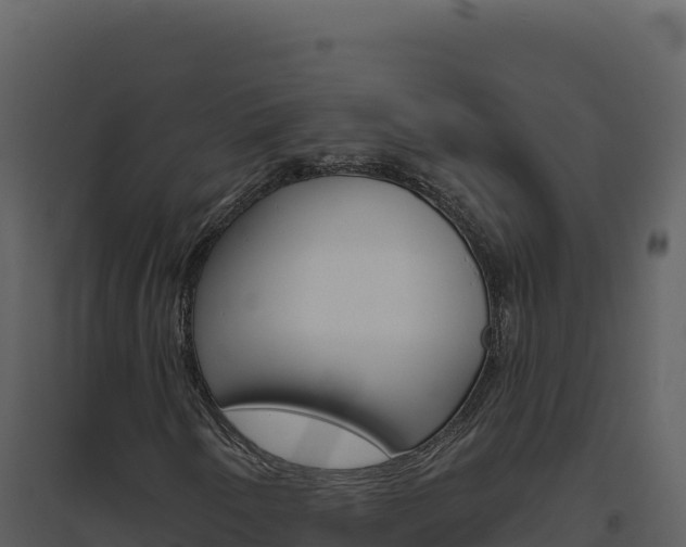 X0000094811250200711160955