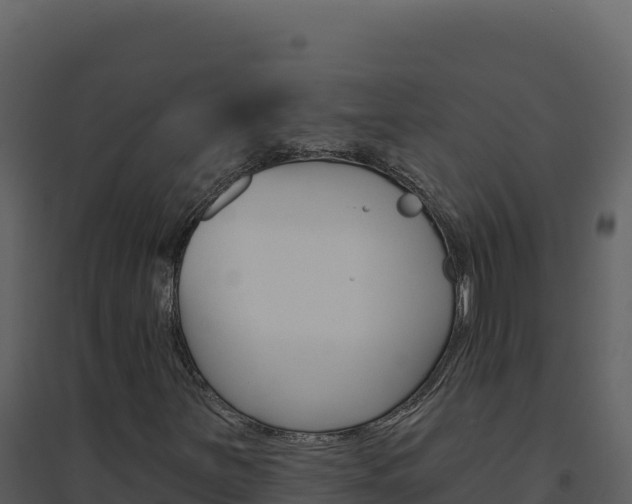 X0000094811251200711160955