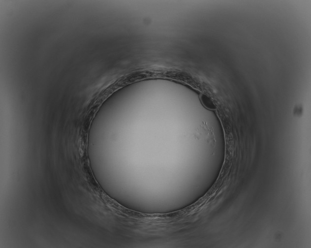 X0000094811253200711160955