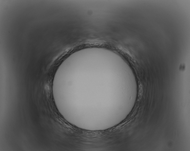 X0000094811254200711160955