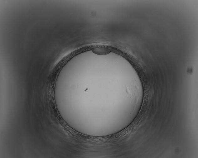 X0000094811255200711160955