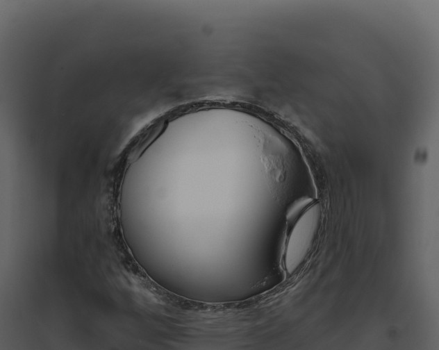 X0000094811256200711160955