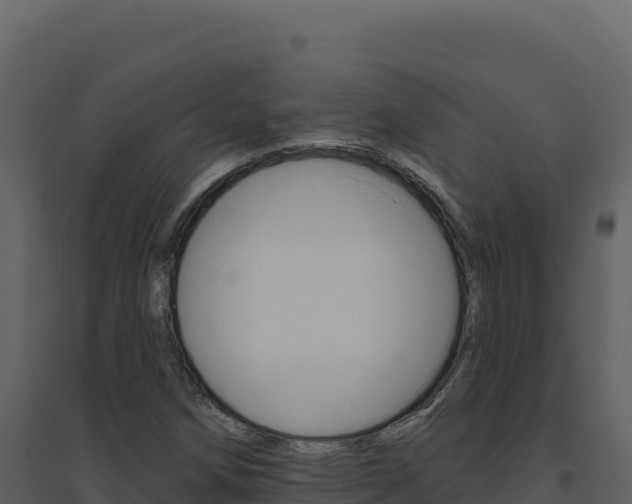 X0000094811258200711160955