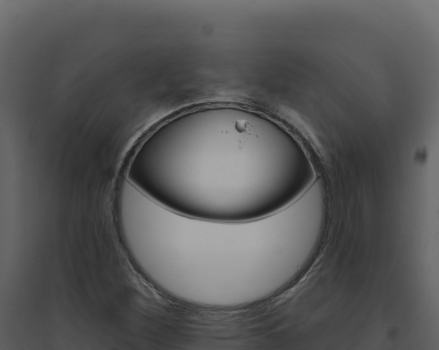 X0000094811260200711160955