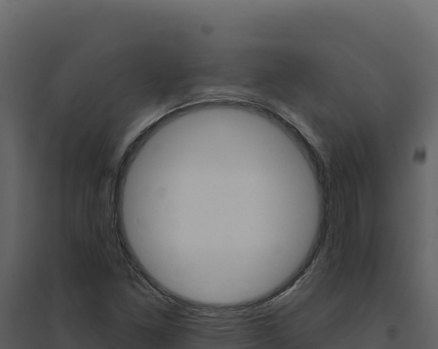 X0000094811261200711160955