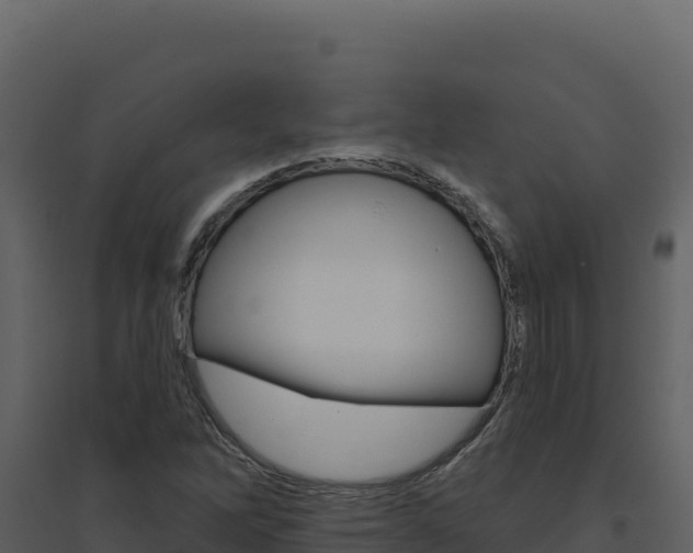 X0000094811262200711160955