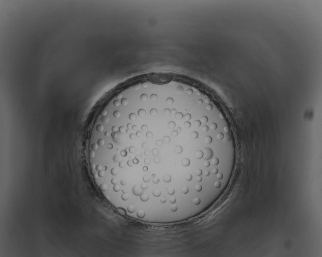 X0000094811263200711160955