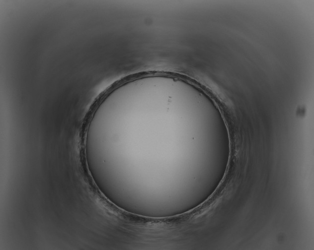 X0000094811264200711160955