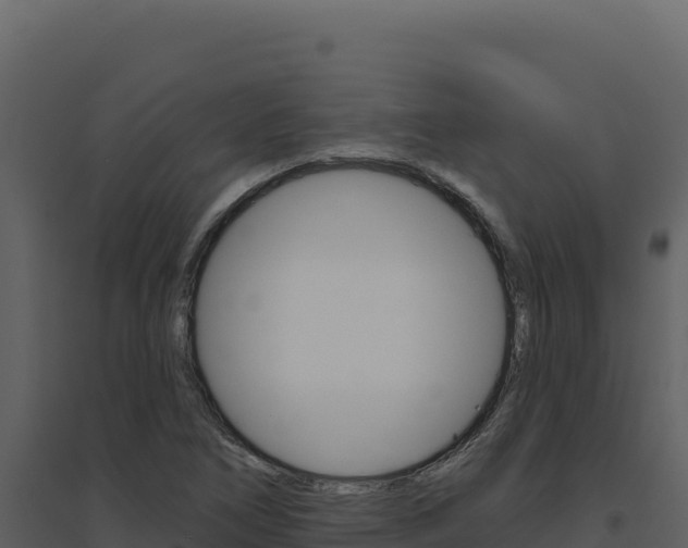 X0000094811266200711160955