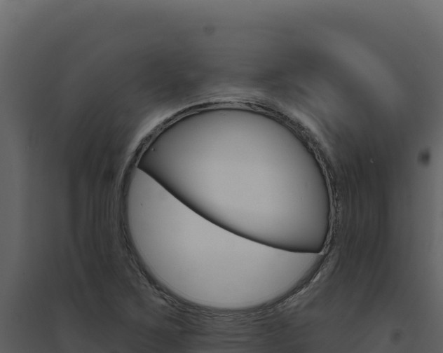 X0000094811267200711160955