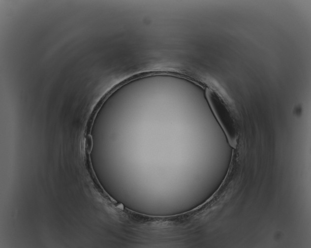 X0000094811268200711160955