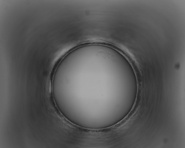 X0000094811269200711160955