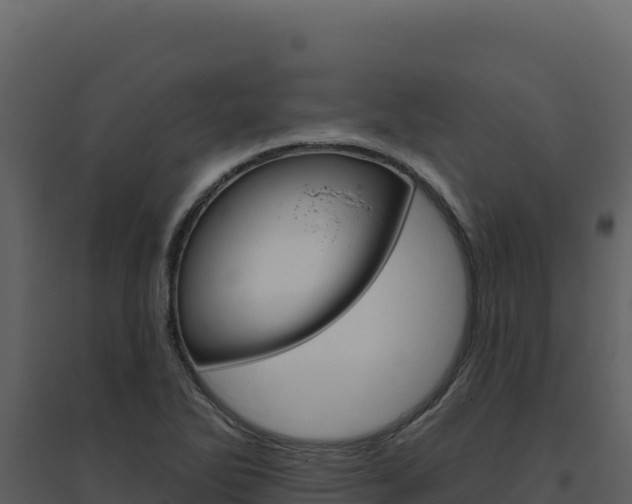 X0000094811270200711160955