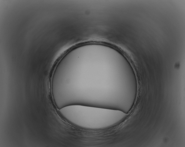 X0000094811271200711160955