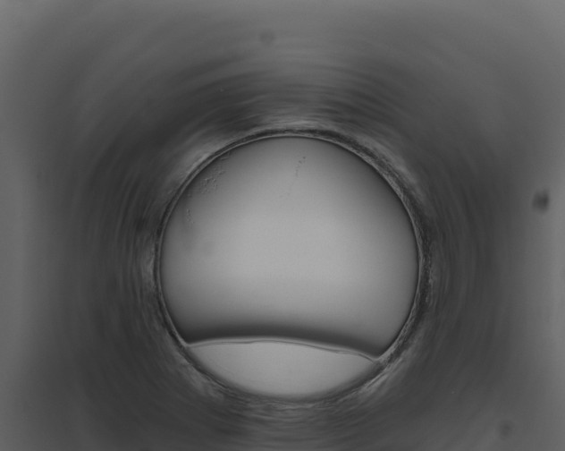 X0000094811273200711160955