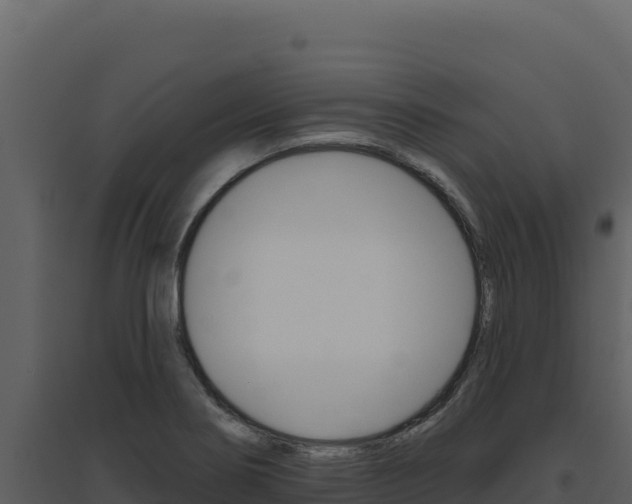 X0000094811274200711160955