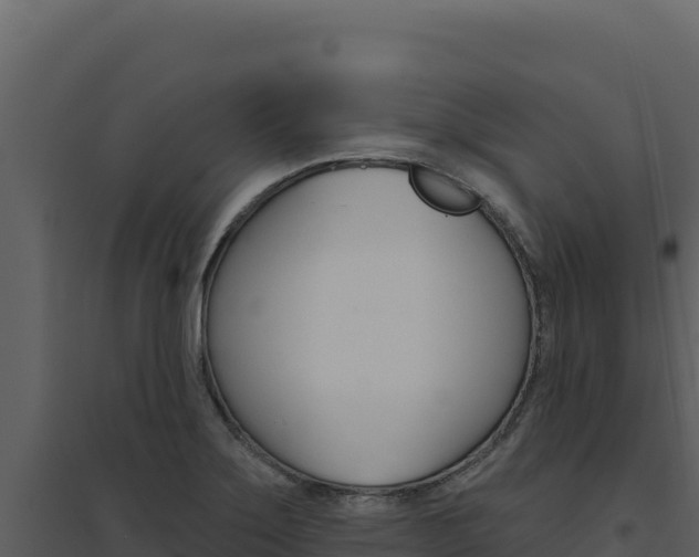 X0000094811275200711160955