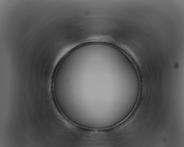 X0000094811277200711160955