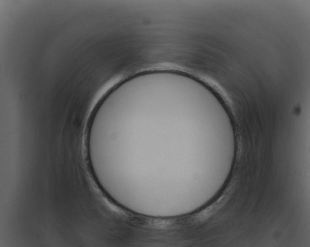 X0000094811278200711160955