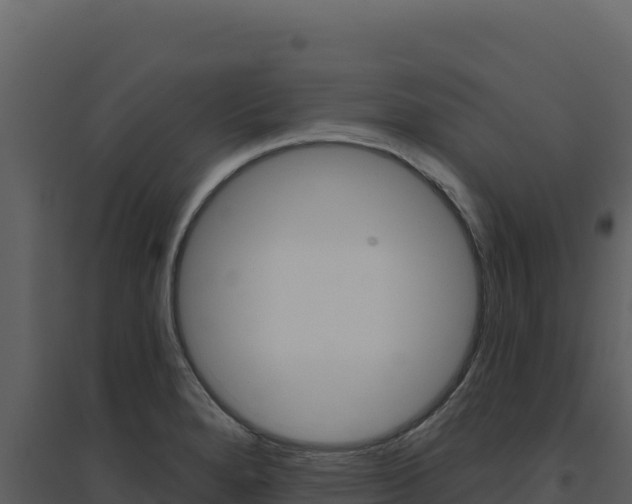 X0000094811280200711160955
