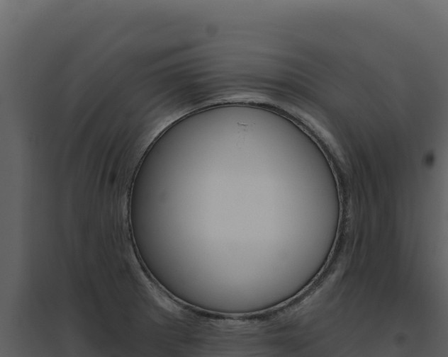 X0000094811281200711160955