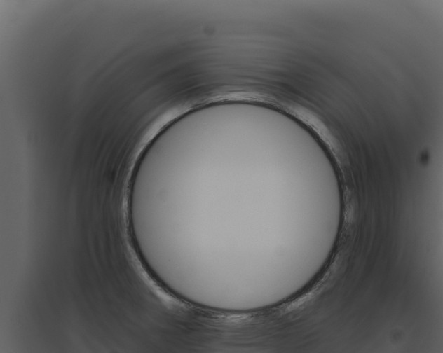 X0000094811282200711160955