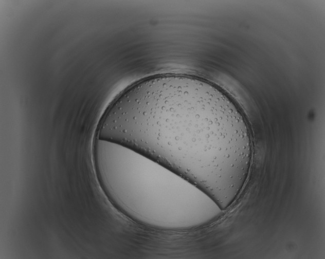 X0000094811283200711160955