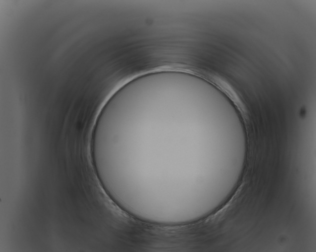 X0000094811284200711160955