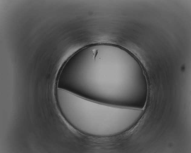 X0000094811285200711160955