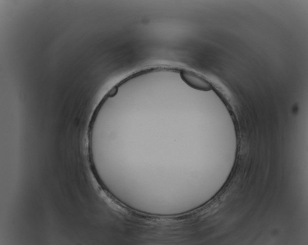 X0000094811287200711160955