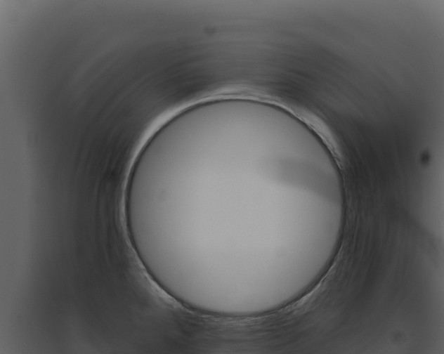 X0000094811288200711160955
