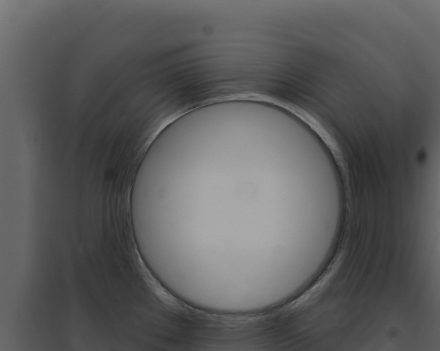 X0000094811289200711160955