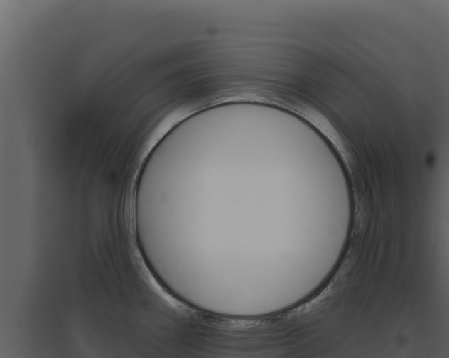 X0000094811290200711160955