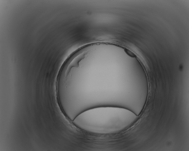 X0000094811291200711160955