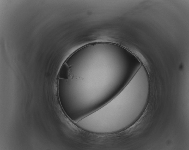 X0000094811292200711160955