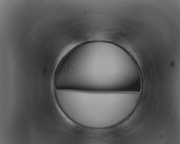 X0000094811293200711160955
