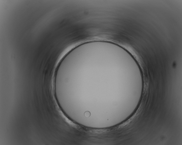 X0000094811294200711160955