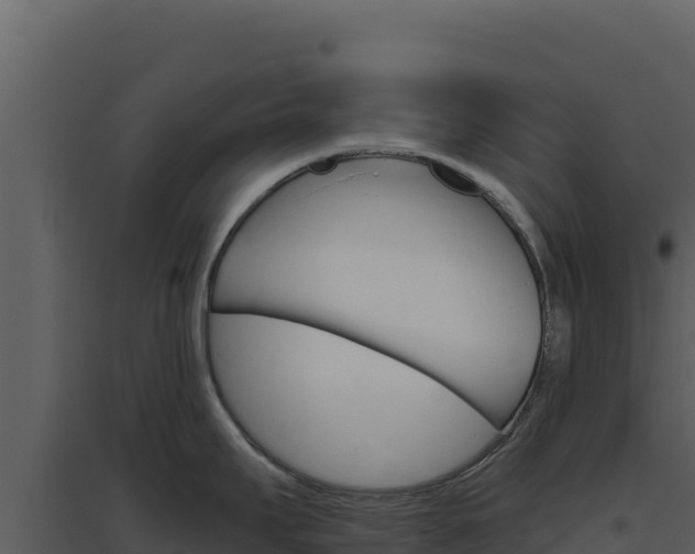 X0000094811295200711160955
