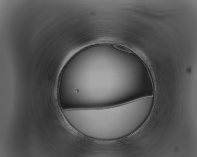X0000094811296200711160955