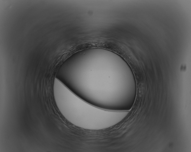 X0000094811298200711160954
