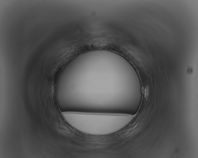 X0000094811299200711160954