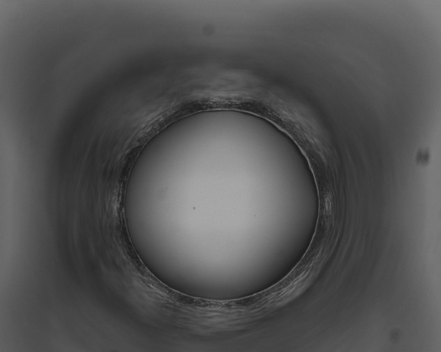 X0000094811300200711160954