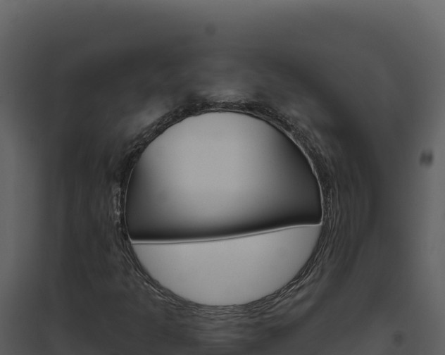X0000094811301200711160954